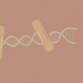 The Wonders of Nucleotides: Unveiling the Secrets of Life's Building Blocks