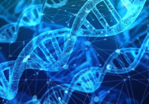 Is dna made up of two polynucleotides?