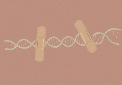 The Role of Nucleotides in Biological Processes